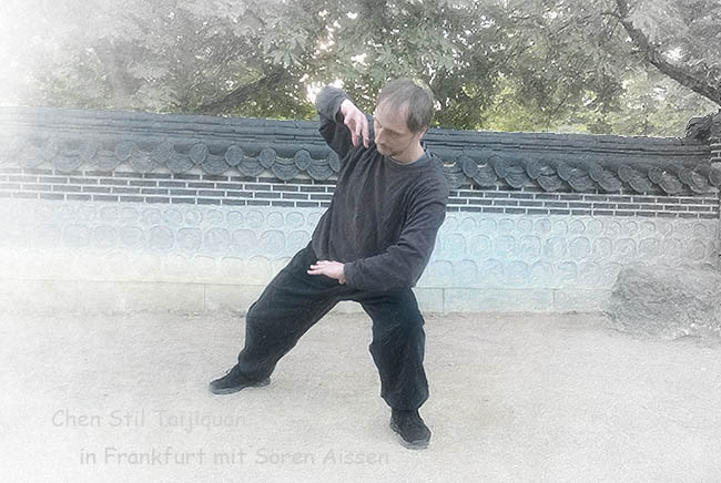 Image Chen Taijiquan Sören Aissen